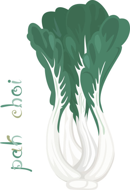 崔先生图片下载