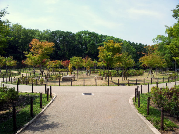 禅意花园图片下载