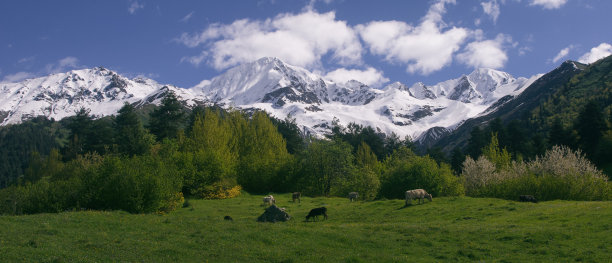 Svaneti国家公园图片下载