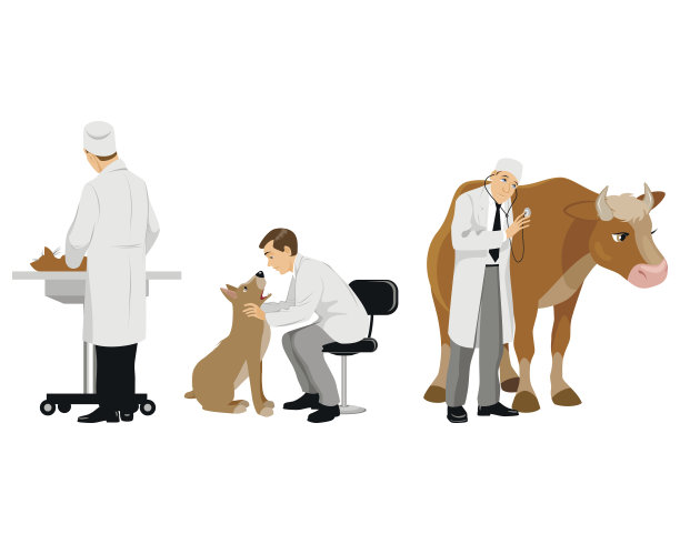 兽医和宠物集合图片下载
