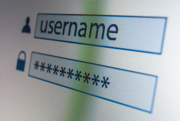 登录在监控图片下载