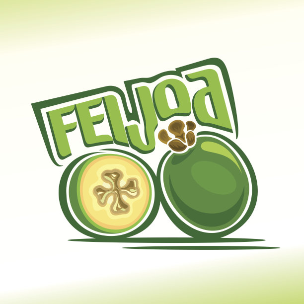 矢量插图上的feijoa主题图片下载