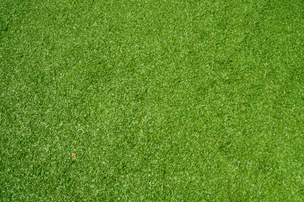 绿绿草图片下载