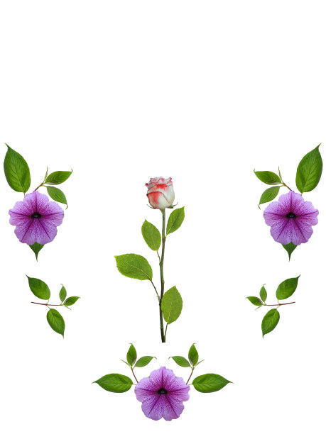 花框架上的白色背景图片下载