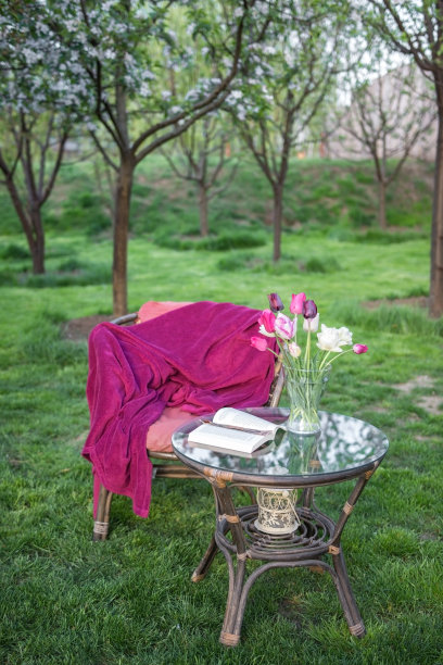 春天在花园里读书图片下载