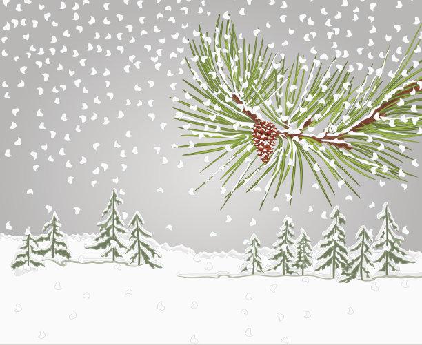 冬季松树枝以雪和松果为圣诞主题向量素材图片