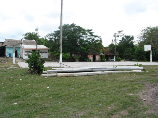 丛林里的篮球场地图片下载