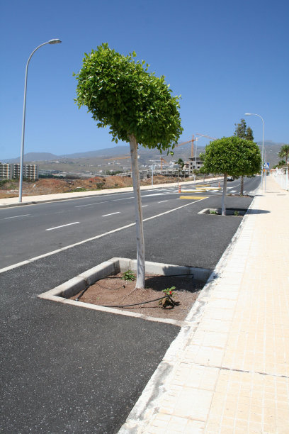 新公路图片下载