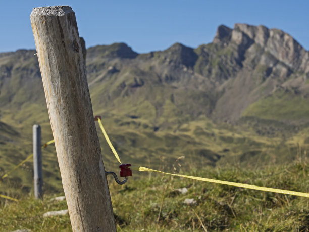 牧场围栏,Weidezaun图片下载