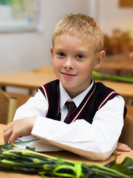 那个男孩，那个小学生坐在学校的课桌前图片下载