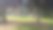 安静的树木公园图片下载