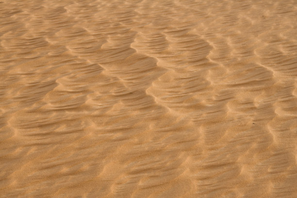 大海的沙滩图片下载