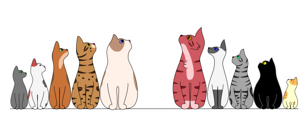 猫排成一排，朝中间看图片下载