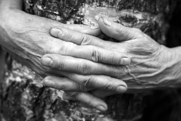 老妇人的手图片下载