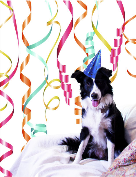 Dpg为这次盛会感到高兴图片下载