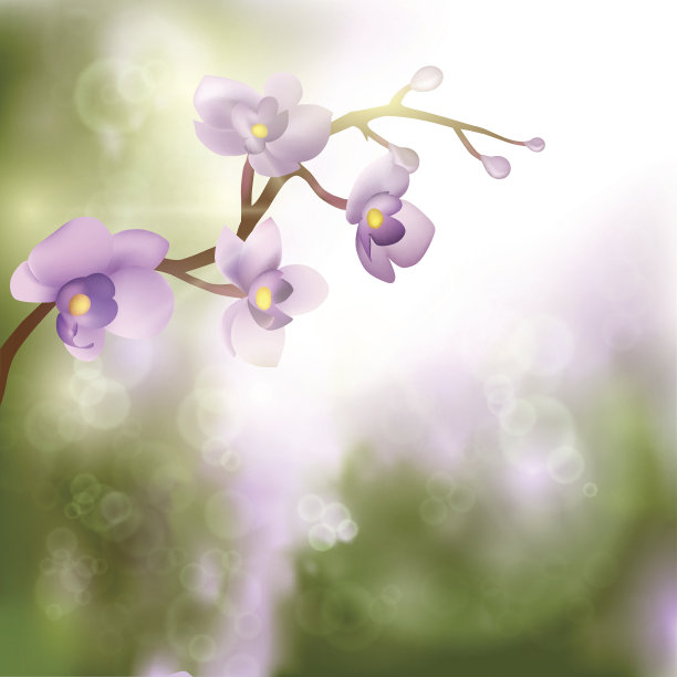 树枝上的花。图片下载