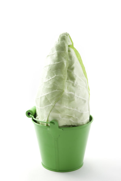 指出卷心菜图片下载