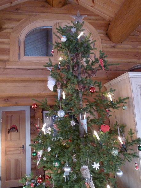 圣诞树图片下载