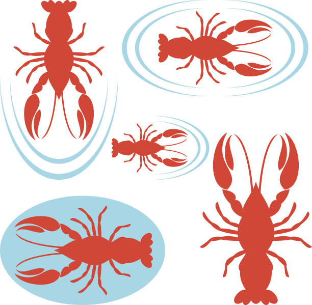 小龙虾图片下载