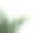 部分棕榈树(棕榈，椰子，叶子)图片下载
