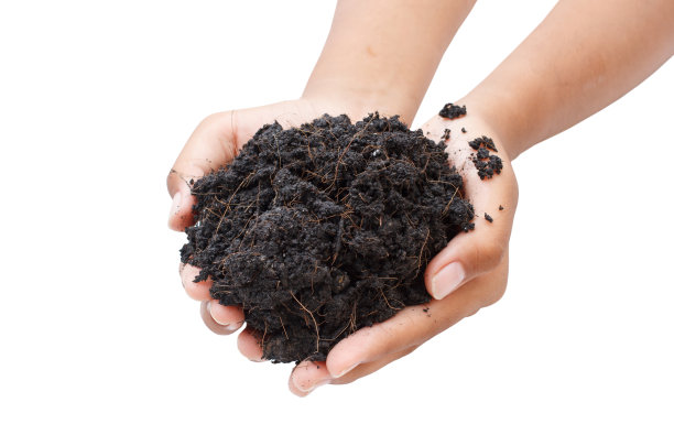 双手相握，呵护一株绿色的幼苗图片下载