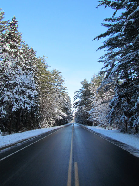 新英格兰空旷的道路和覆盖着积雪的树木图片下载
