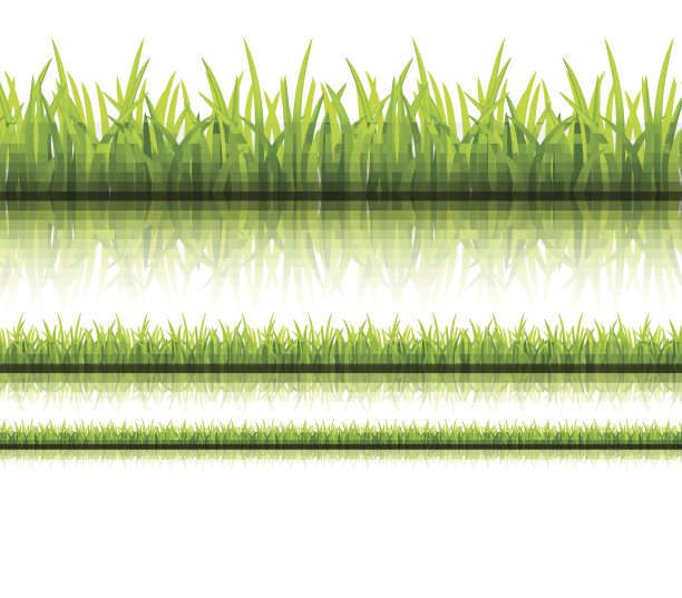 大绿草，孤立在白色背景，矢量插图图片下载
