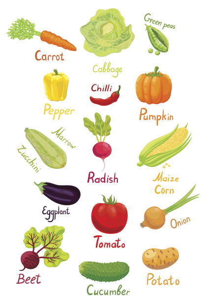 菜园里的蔬菜图片下载