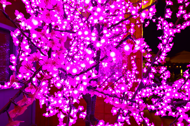 圣诞庆祝节日装饰彩灯图片下载