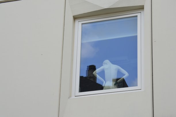 人体模型图片下载