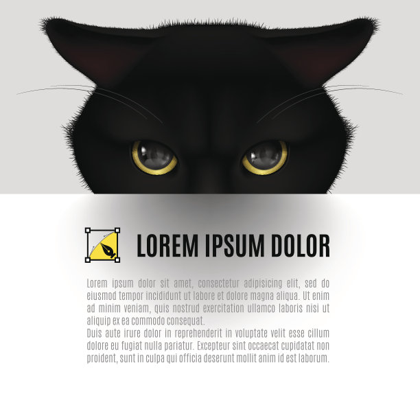 黑色的猫图片下载