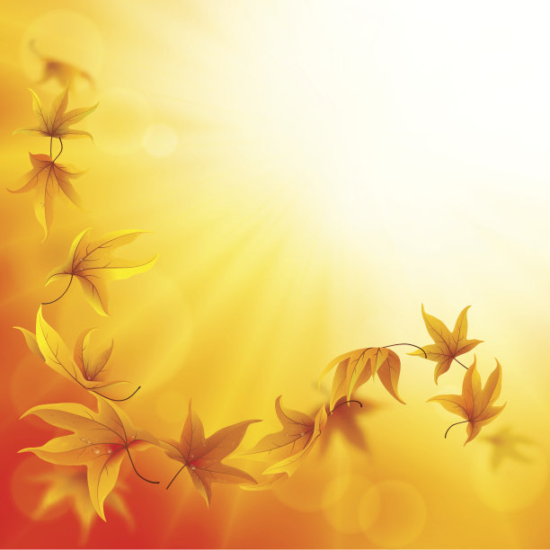 秋叶背景图片下载