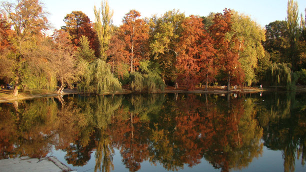 秋天已经来了图片下载