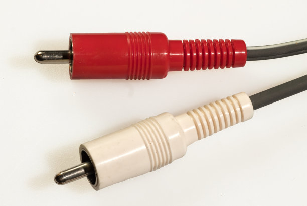 杰克的泰尔图片下载