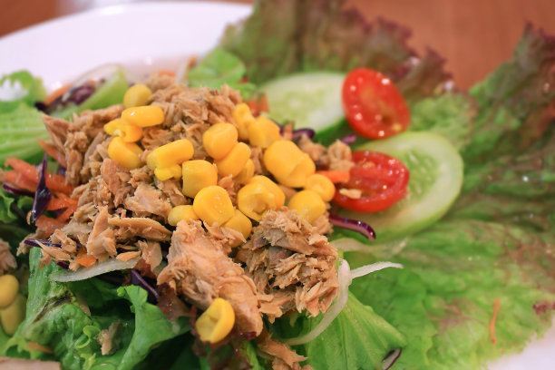 金枪鱼沙拉图片下载