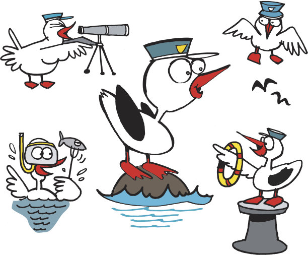 矢量卡通显示一组有趣的海鸥图片下载