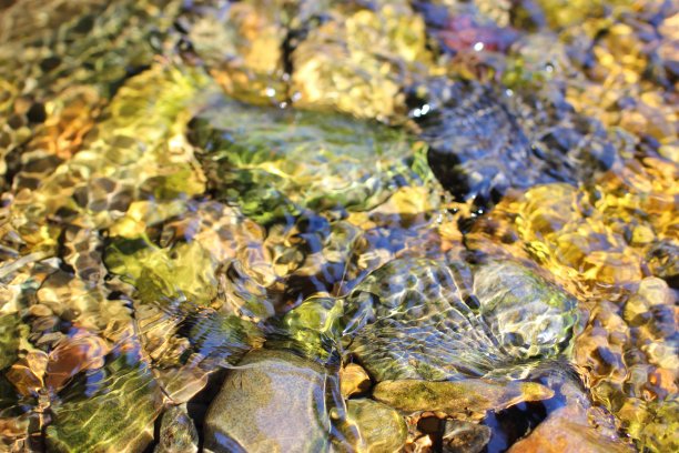 河床上的石头图片下载