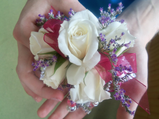 花卉手腕胸衣图片下载