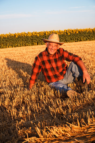 老农坐在田里图片下载