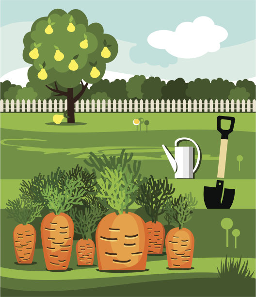 胡萝卜，菜园，铲子和梨。图片下载