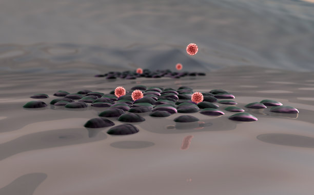 病毒的细胞图片下载