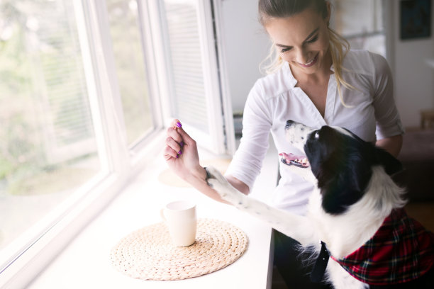 美丽的女人在家里玩快乐的狗图片下载