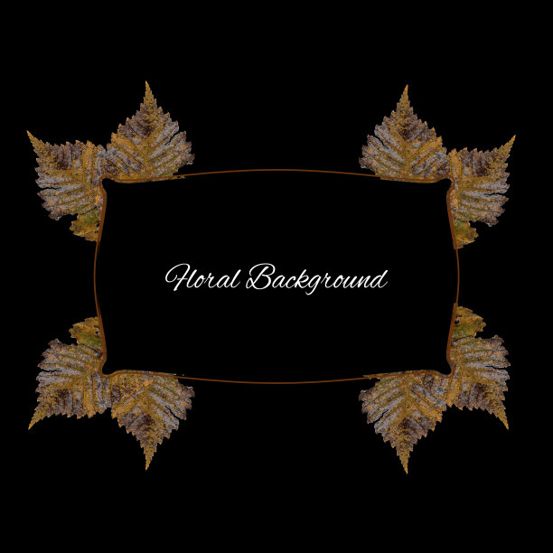 背景纹理制作山楂干压隔离锈片图片下载