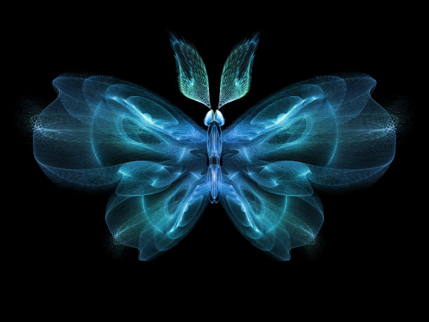 蝴蝶优雅图片下载