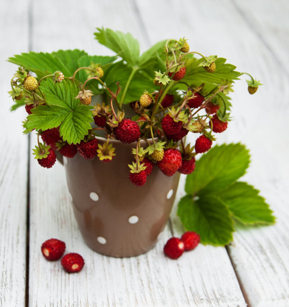 杯野草莓图片下载