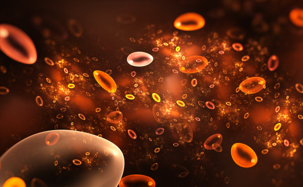 用于科学、研究、生物学和教育项目的静脉红细胞图片下载