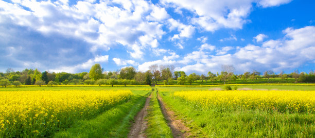 德国莱辛巴赫附近的自然小路图片下载