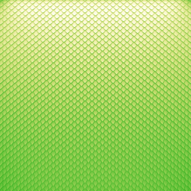 蛇的皮肤颜色图片下载