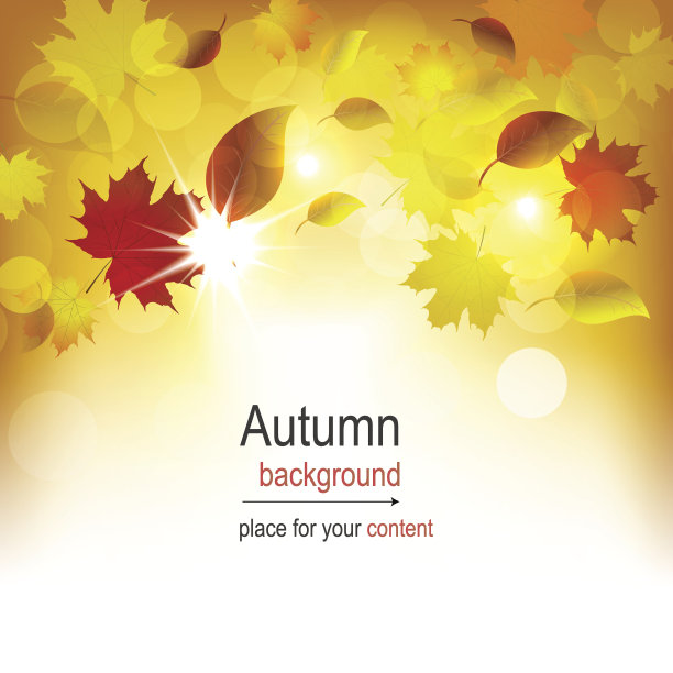 秋天矢量插图与树叶图片下载