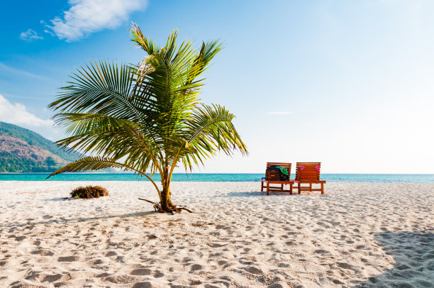 在泰国普吉岛的沙滩上，空荡荡的木制沙滩椅和椰子树素材图片